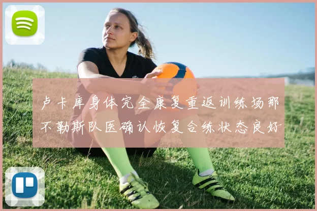 卢卡库身体完全康复重返训练场那不勒斯队医确认恢复合练状态良好