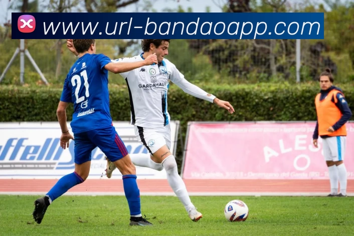 C7娱乐平台生态图